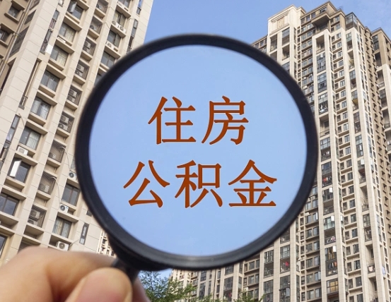娄底退休后查不到公积金明细了吗（退休后公积金查询不到原因）